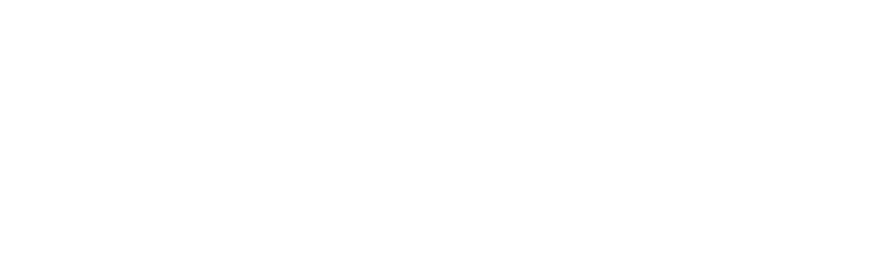 Web Design LVMedia